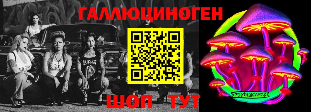 Псилоцибиновые грибы MAGIC MUSHROOMS  закладка  Гусь-Хрустальный  Вход с VPN 